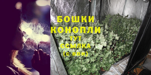 ГАЛЛЮЦИНОГЕННЫЕ ГРИБЫ Болохово