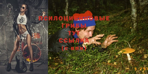 синтетический гашиш Осинники